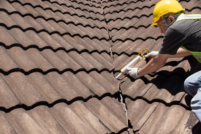 Roof Patching And Repair Service detail