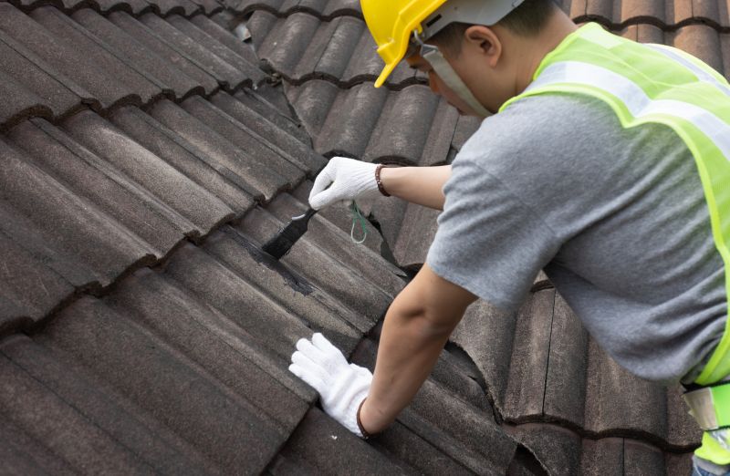 Roof Patching And Repair Service detail